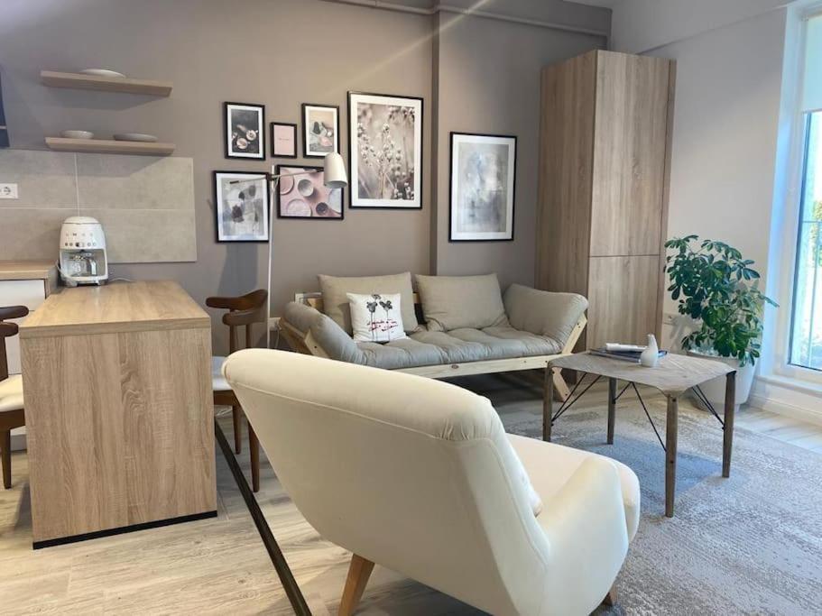 Shi Ti Junior Suite Iasi Eksteriør billede