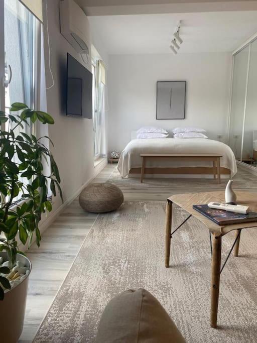 Shi Ti Junior Suite Iasi Eksteriør billede