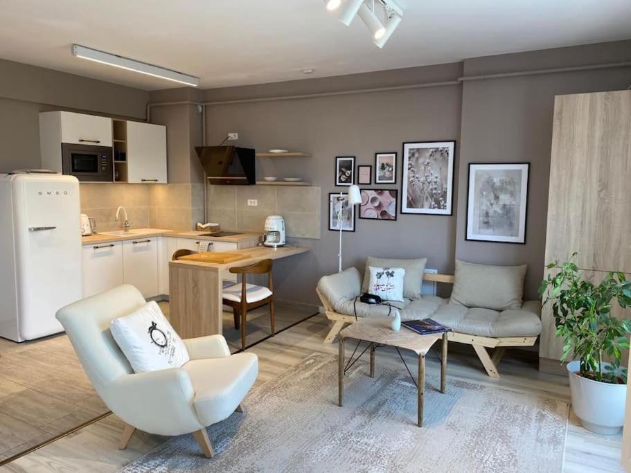 Shi Ti Junior Suite Iasi Eksteriør billede